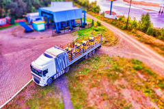 DJI_0203